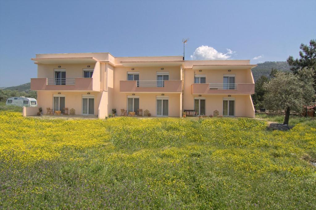 Studios Dimitraki Skala Rachoni  Oda fotoğraf