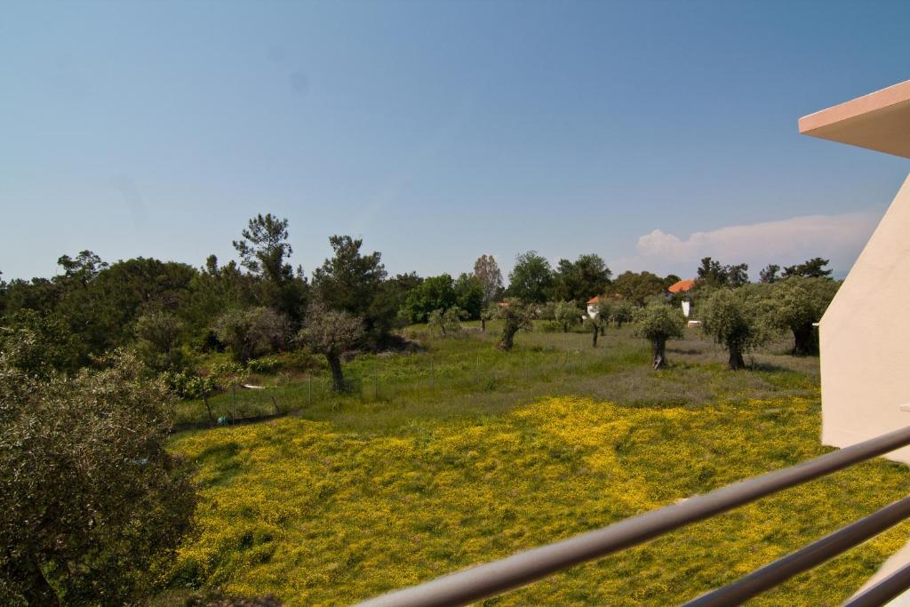 Studios Dimitraki Skala Rachoni  Oda fotoğraf